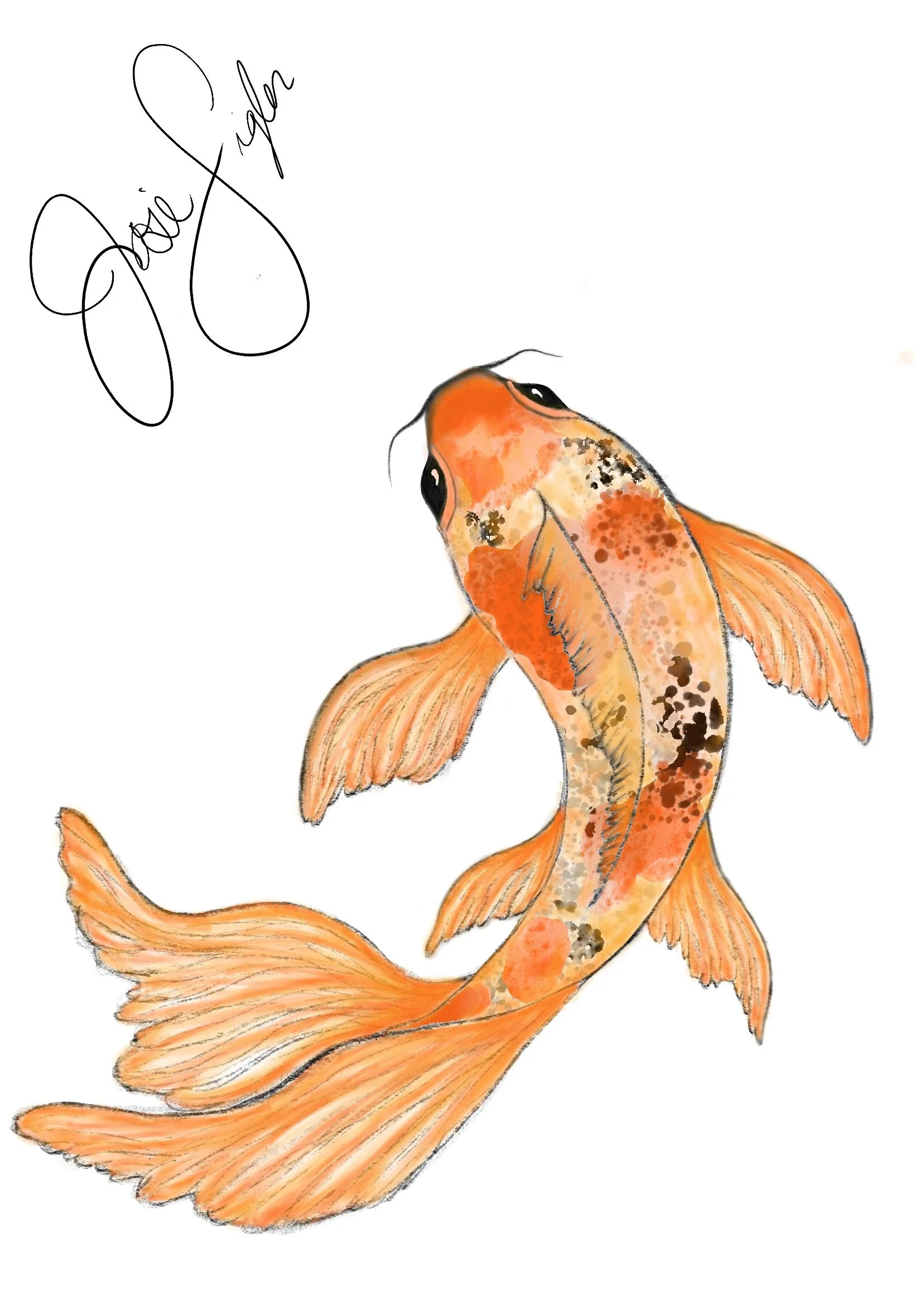 IMG_0001.PNG