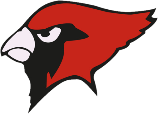 Close-up of a cardinal mascot logo with a red head, black face mask, and white beak