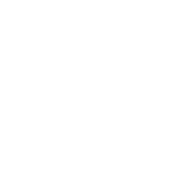 Icon of a medal with a checkmark in the center