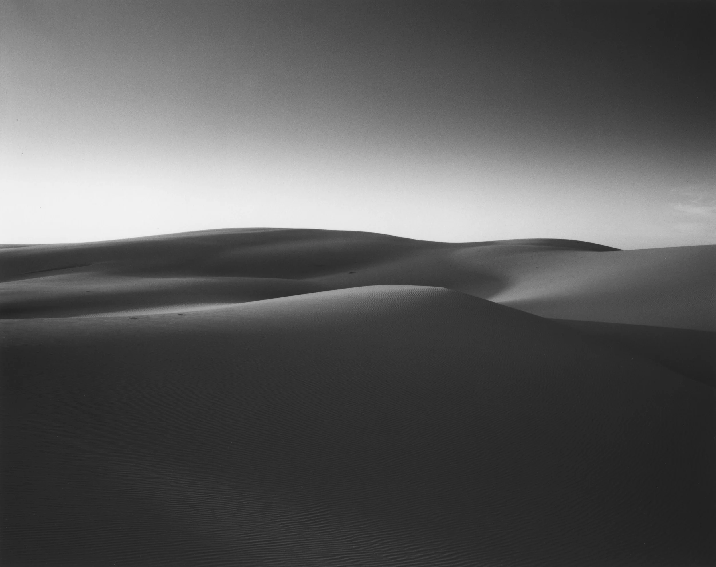 dune Study 1 reduced.jpg