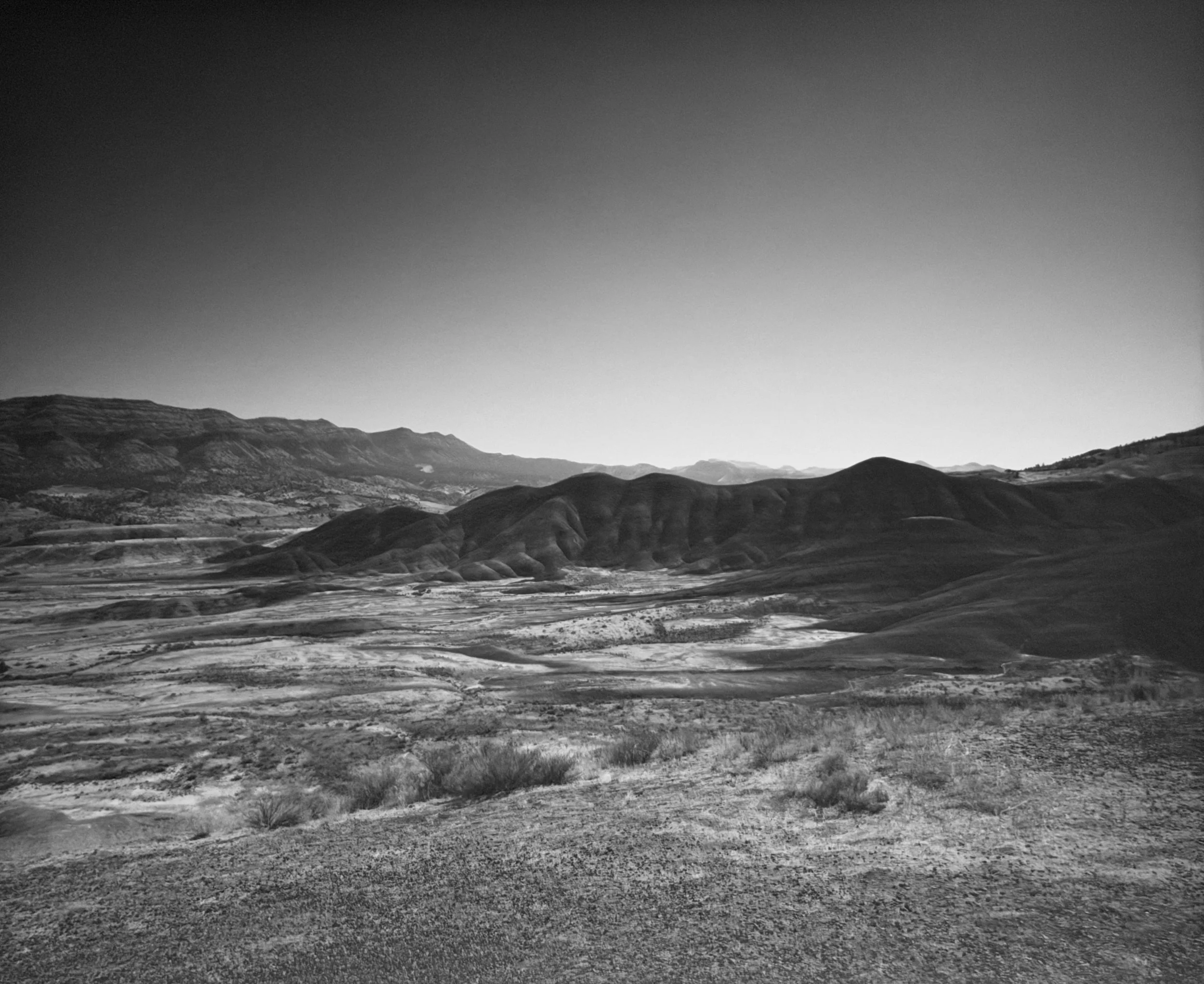 IMG_3835.jpg