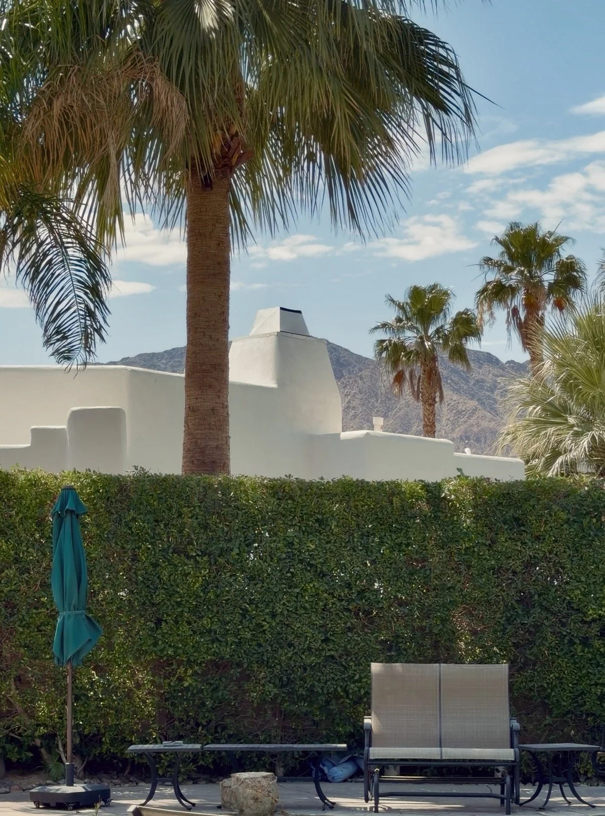 A view of a backyard with a hedge, palm trees, a white building, mountains in the background, and outdoor furniture including a green umbrella and lounge chairs.