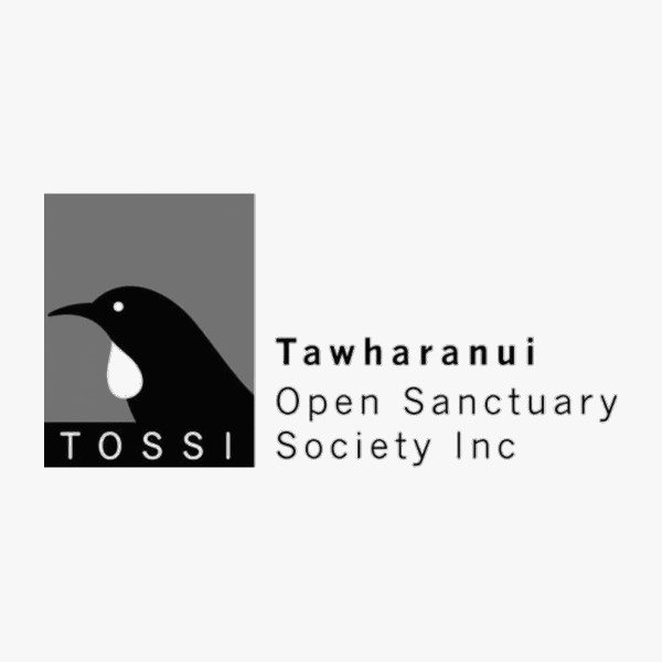 Logo for Tawharanui Open Sanctuary Society Inc featuring a black and white penguin illustration with the words "TOSSI" below.