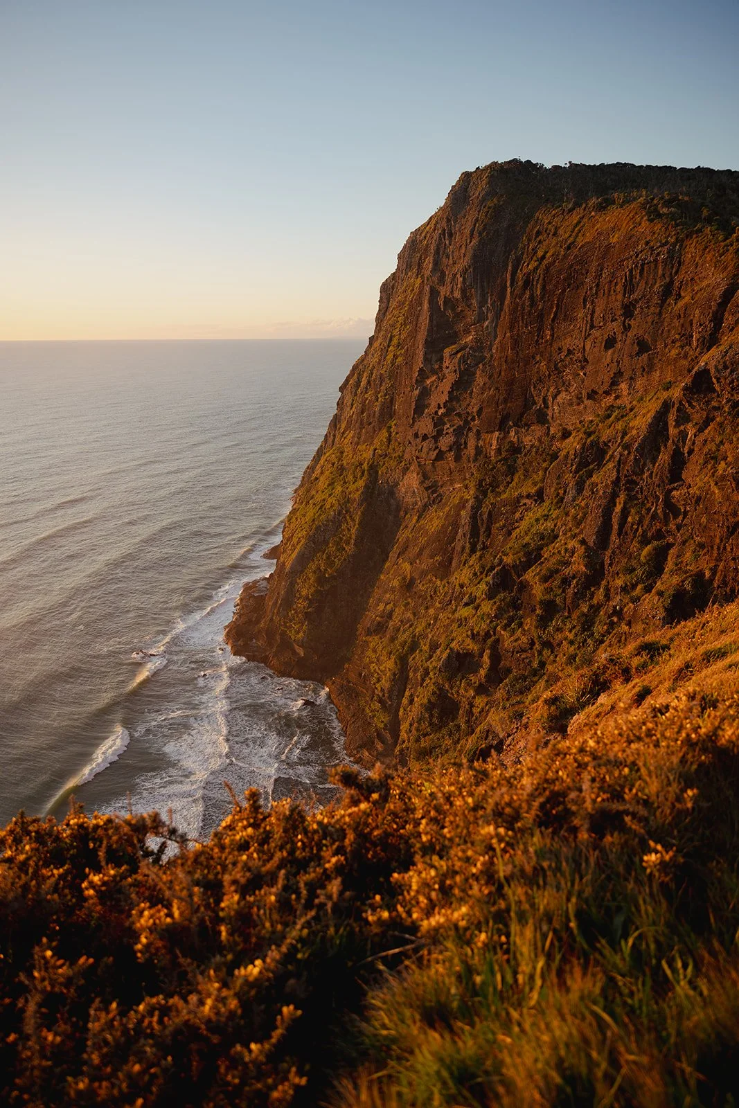 Sunset over rough ocean waves next to a steep, rocky cliff covered with vegetation.