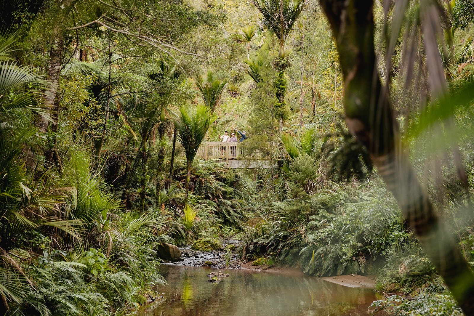 A lush rainforest with tall palm trees and dense green foliage surrounds a small river. A wooden viewing platform with three people stands above the river, partially obscured by leaves in the foreground.