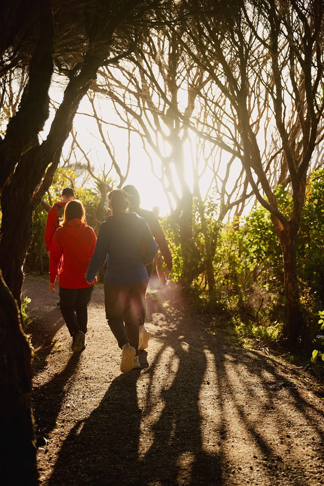 Group of people walking on a dirt trail through a wooded area during sunset, casting long shadows.