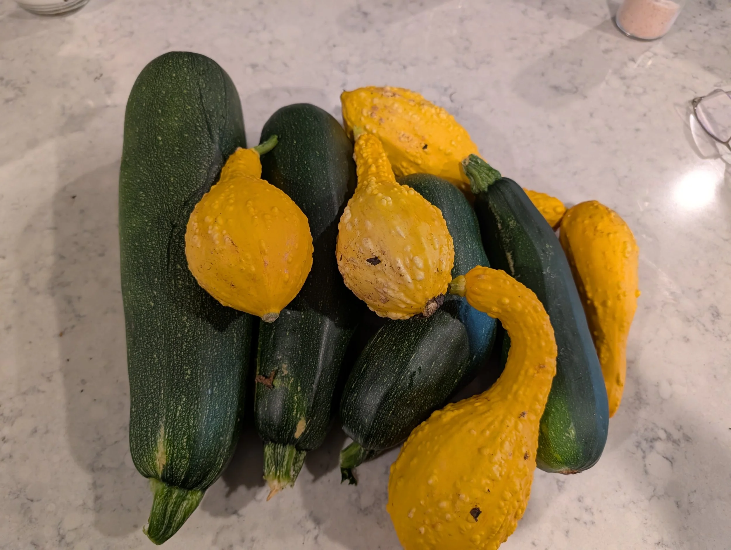 A group of zucchinis and yellow squash on a farmer's kitchen countertop.