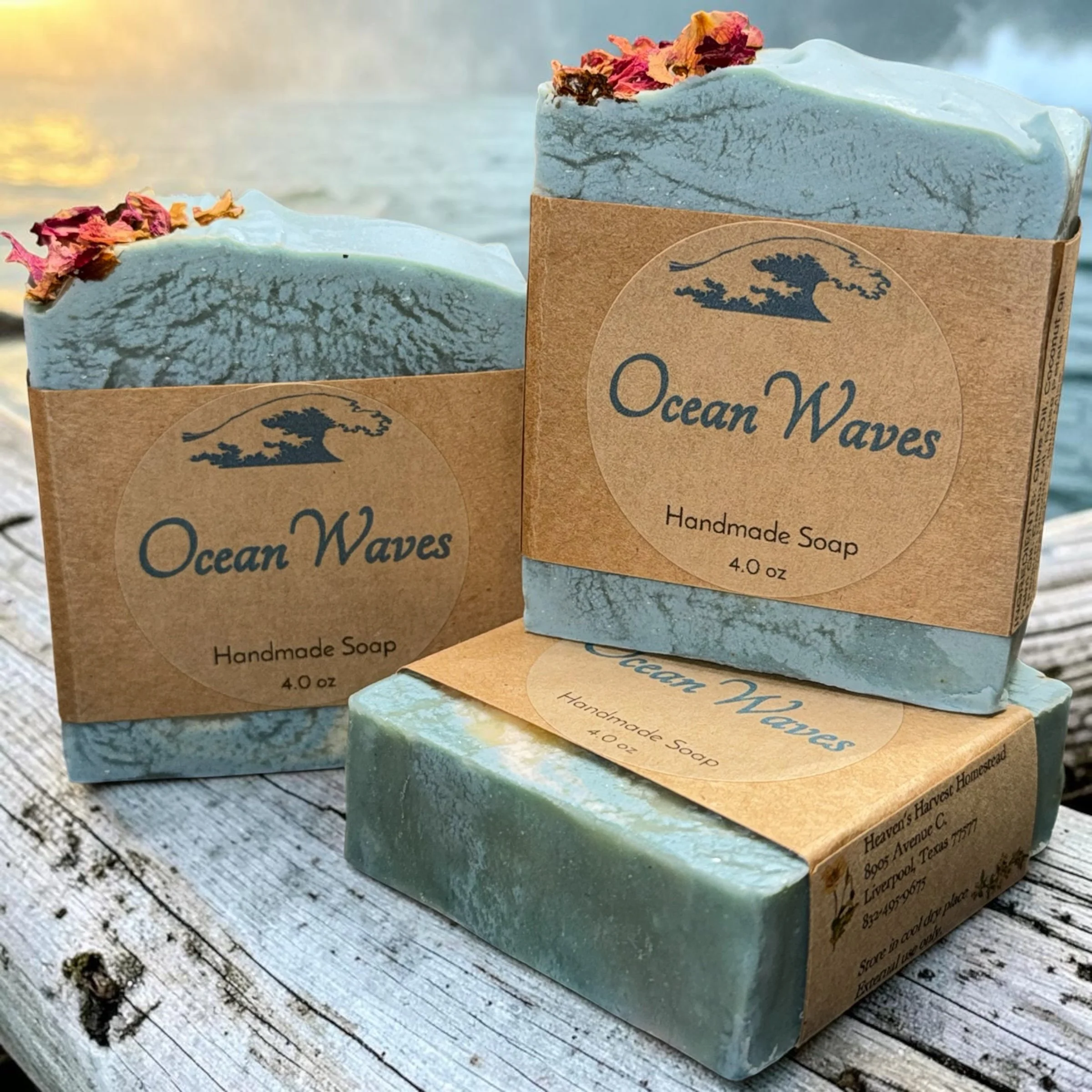 Ocean Waves