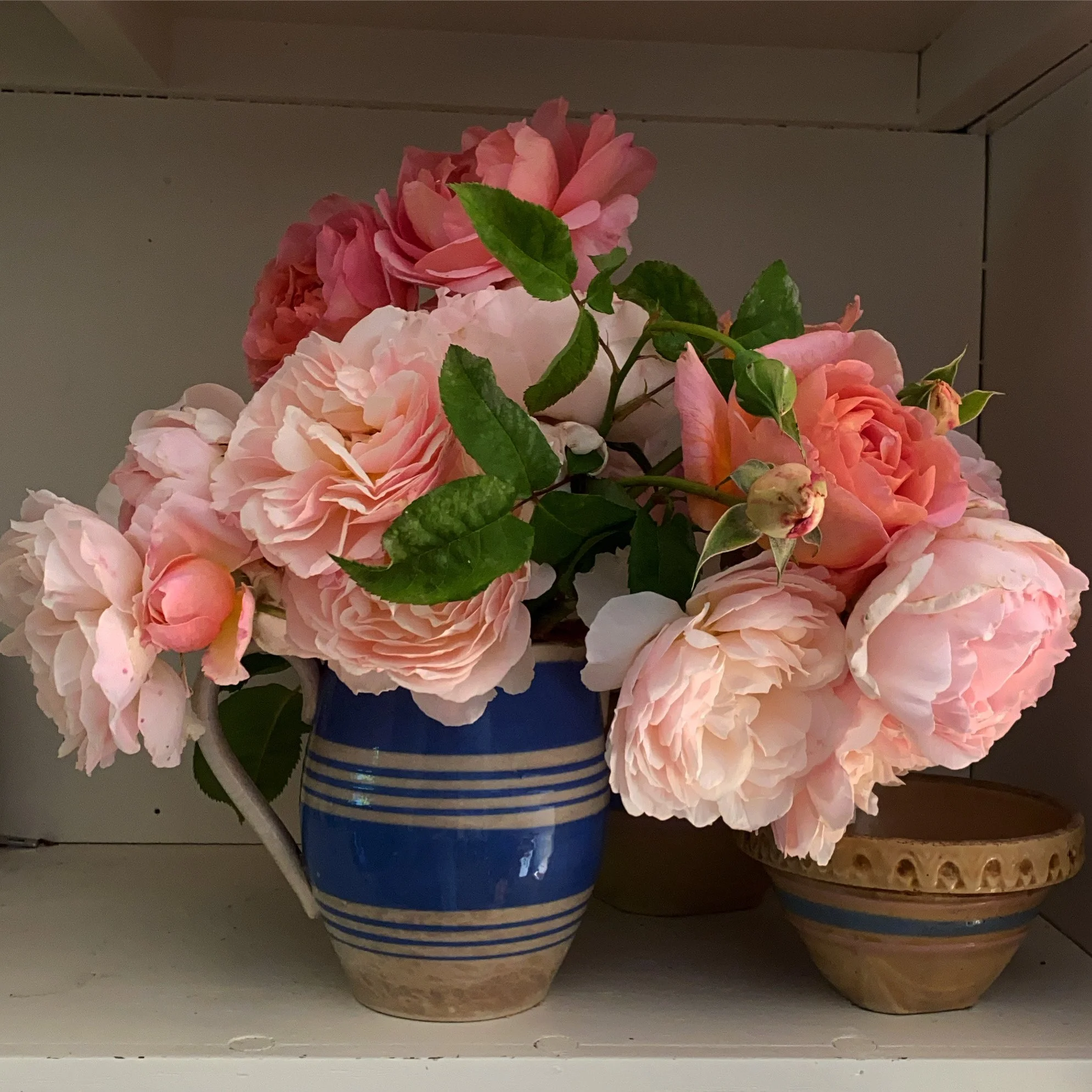 9C6562F9-F773-4184-B9E6-A6EF96DE6B85.JPG
