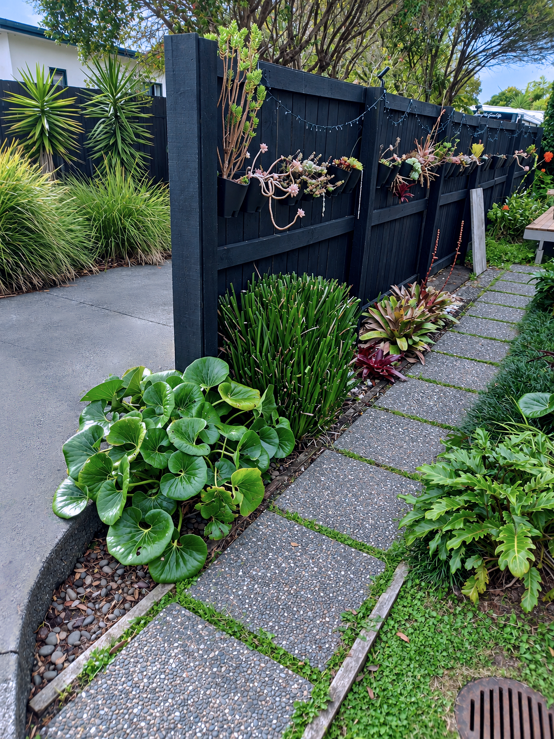 A garden pathway with square concrete pavers surrounded by lush green plants, including elephant ears, succulents, and foliage, next to a black wooden fence decorated with hanging planters and string lights.