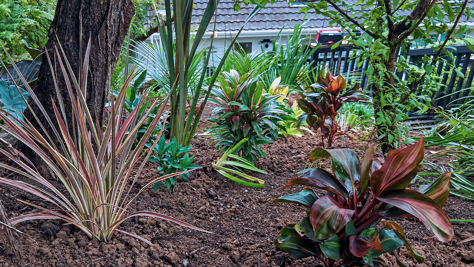 A garden with various colorful plants and soil, including a large tree trunk, and a house with a black railing in the background.
