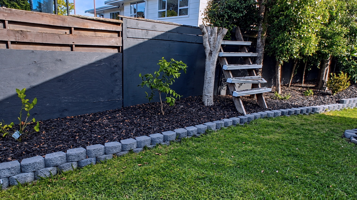A backyard garden with a black privacy fence, small trees, and a ladder leaning against the fence. There is green grass in the foreground and a flower bed with mulch and small plants along the fence line. Auckland landscaping company.
