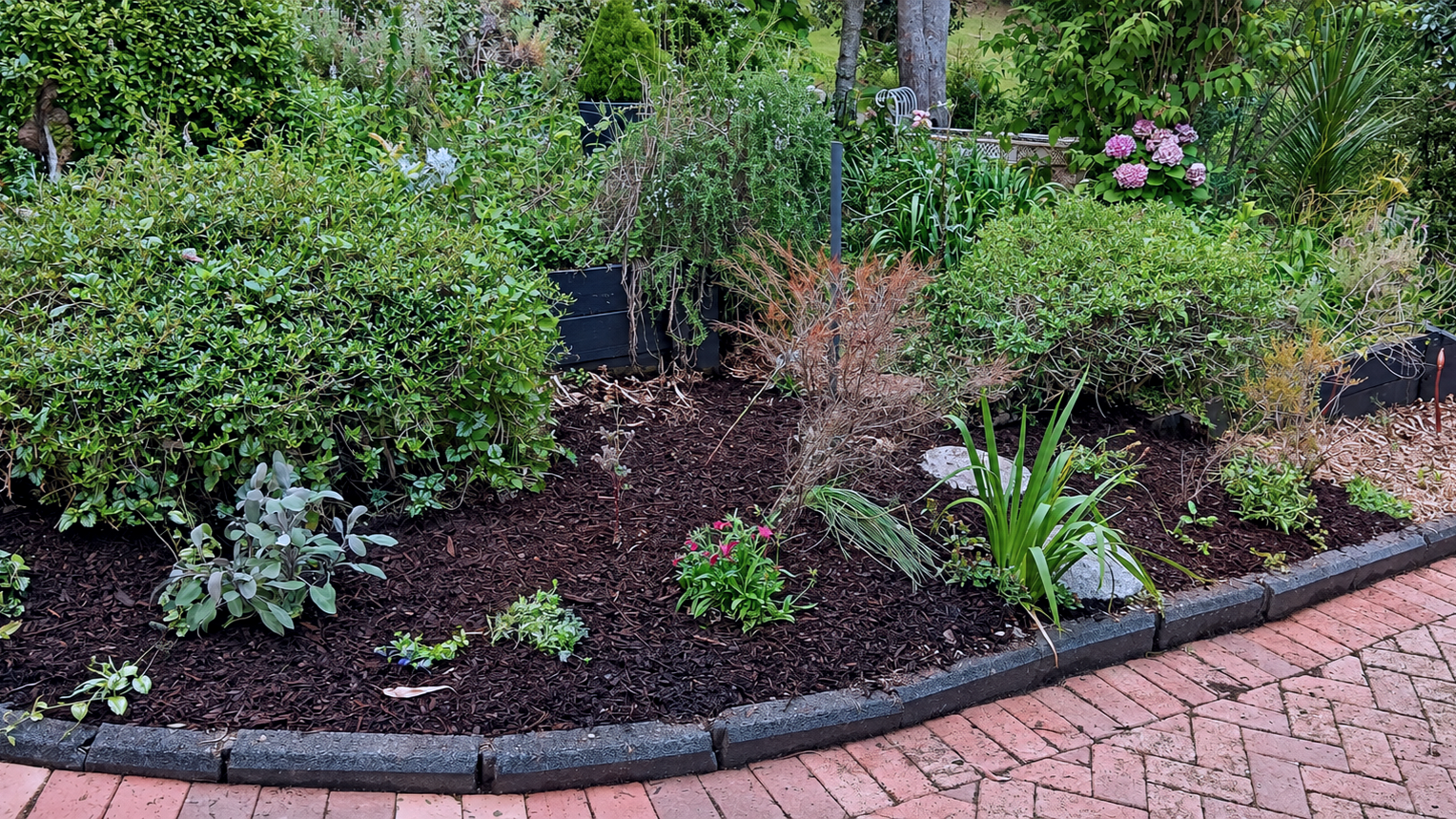 A landscaped garden bed with various green shrubs and plants, mulched with wood chips, bordered by a curved brick pathway.