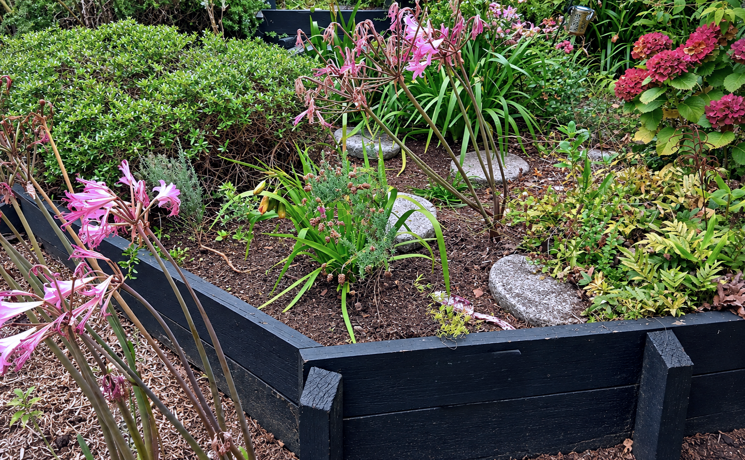 A rectangular garden bed with blooming pink flowers, green bushes, and rocks, surrounded by mulch.