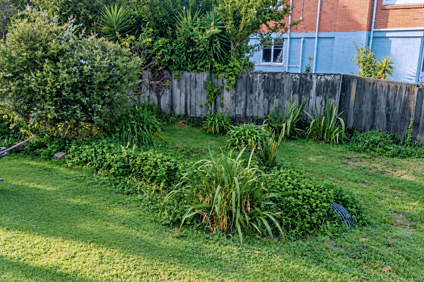 A backyard garden with various green plants, bushes, and grass, enclosed by a wooden fence, with a brick building and windows in the background.