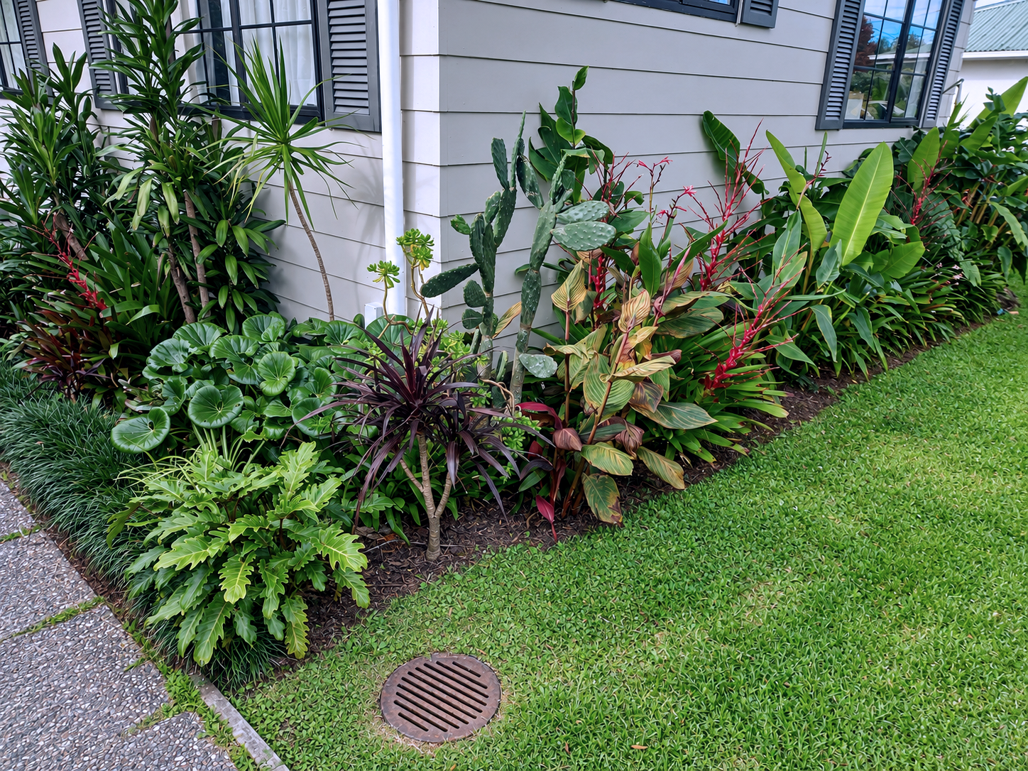 A lush garden bed alongside a house with beige siding, filled with various green and colorful tropical plants, including large leaves, succulents, and small trees, with a patch of green grass and a round drainage grate in the foreground.