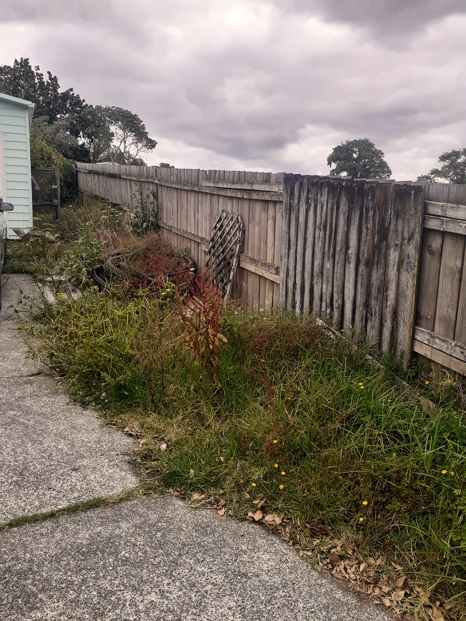 A backyard with overgrown grass and weeds along a weathered wooden fence, with a section of concrete patio and part of a light blue house visible on the left side, under a cloudy sky.