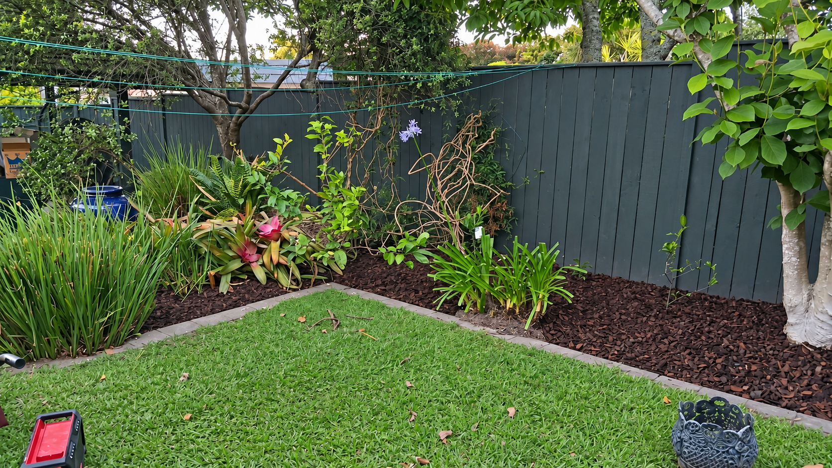 Backyard garden with green grass, various plants and shrubs, dark wooden fence, and a few decorative items.