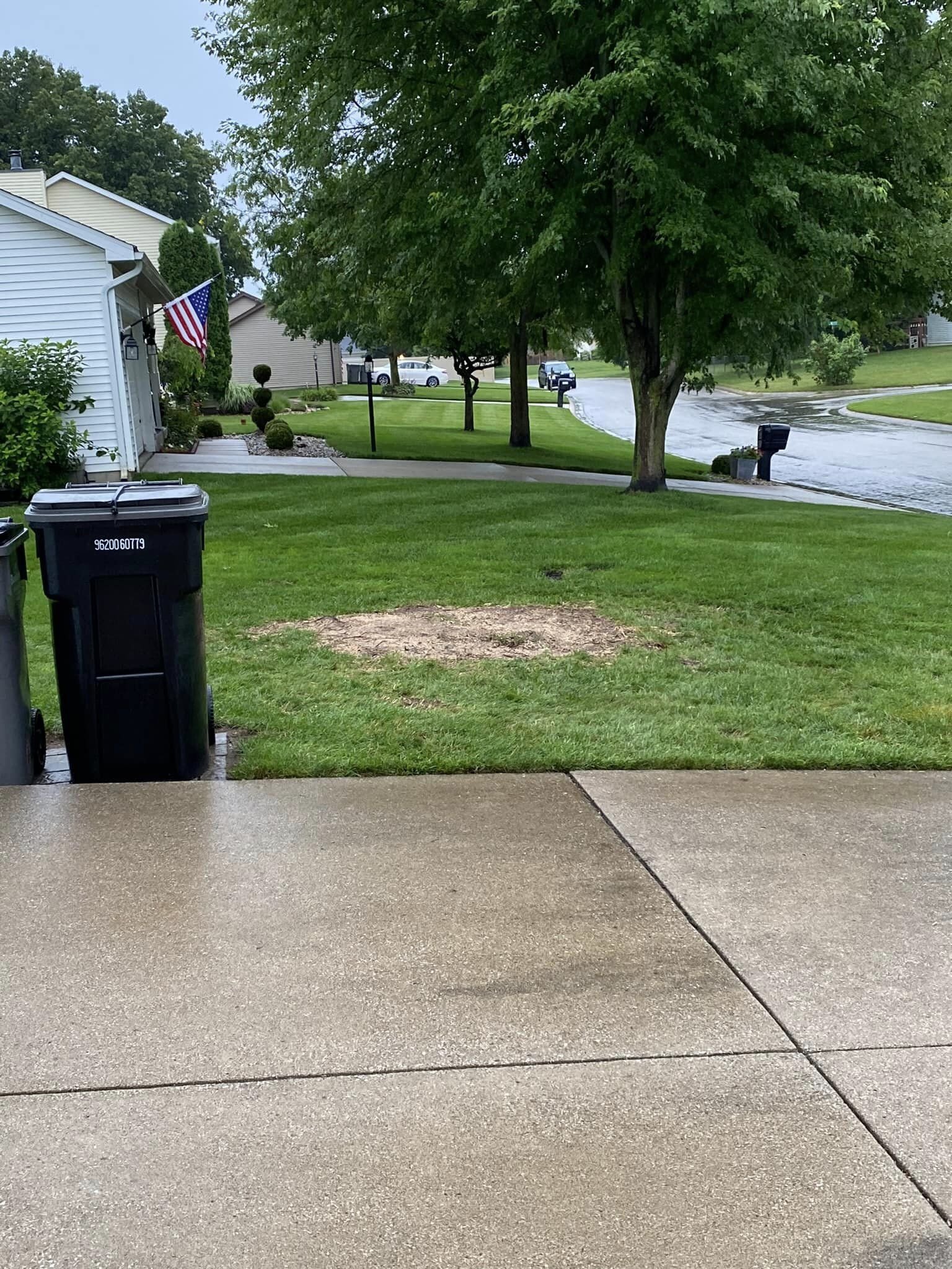 View of a residential front yard on a rainy day with a concrete porch, trash bins, green grass, trees, a sidewalk, and a wet street in a suburban neighborhood.