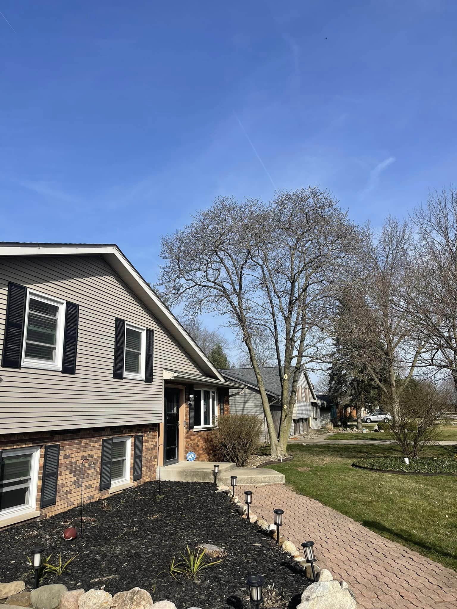 A residential neighborhood with multiple houses, a tree in the foreground, a brick sidewalk, and a clear blue sky with some wispy clouds.