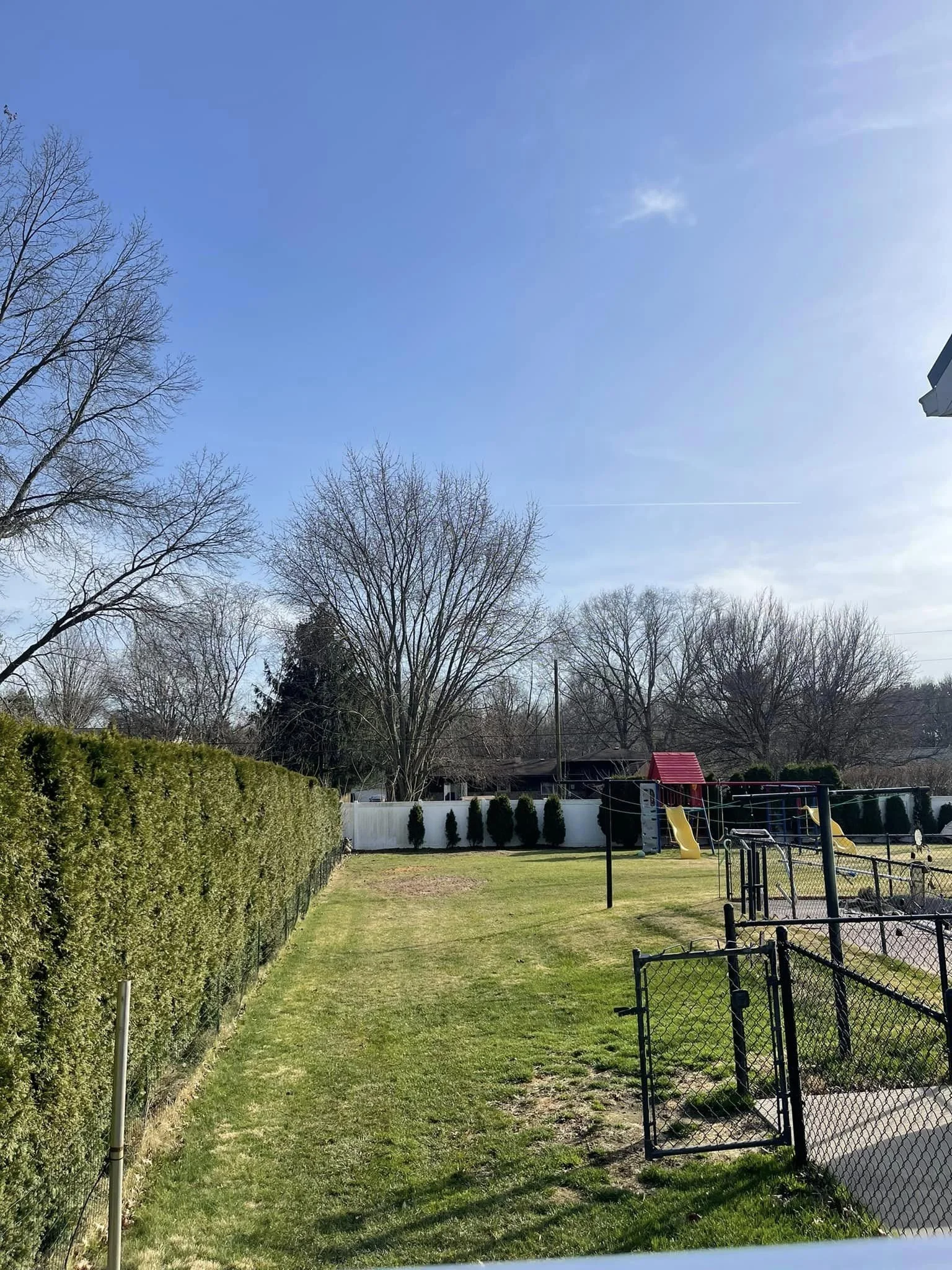 A backyard with a green lawn, a tall hedge on the left, leafless trees in the background, a white fence, and a playground set with a slide and swings.  Area is safe for the family thanks to Traditions Tree Care. 