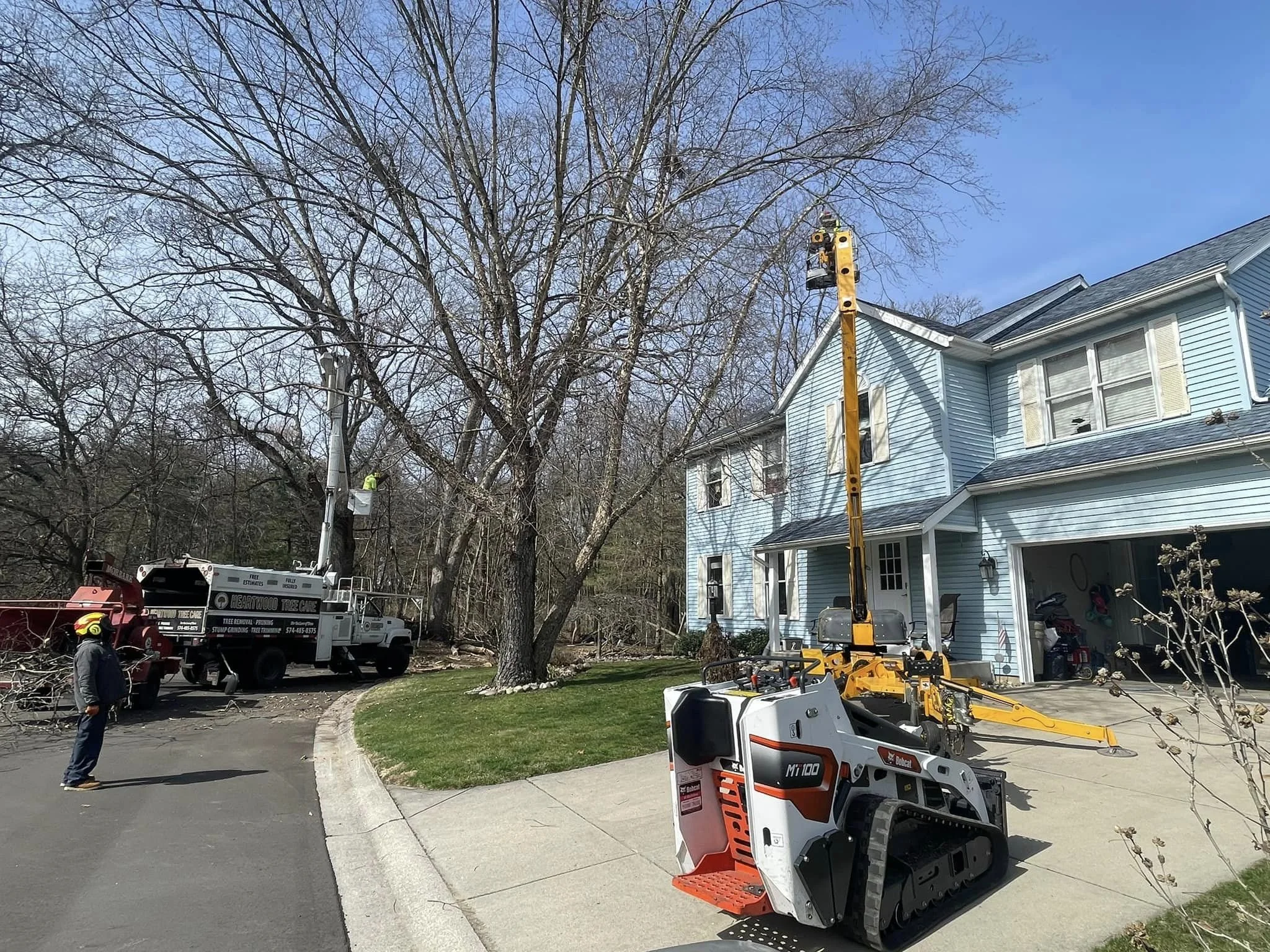 Traditions Workers trimming and removing branches from a large tree using utility bucket trucks in front of a blue house.