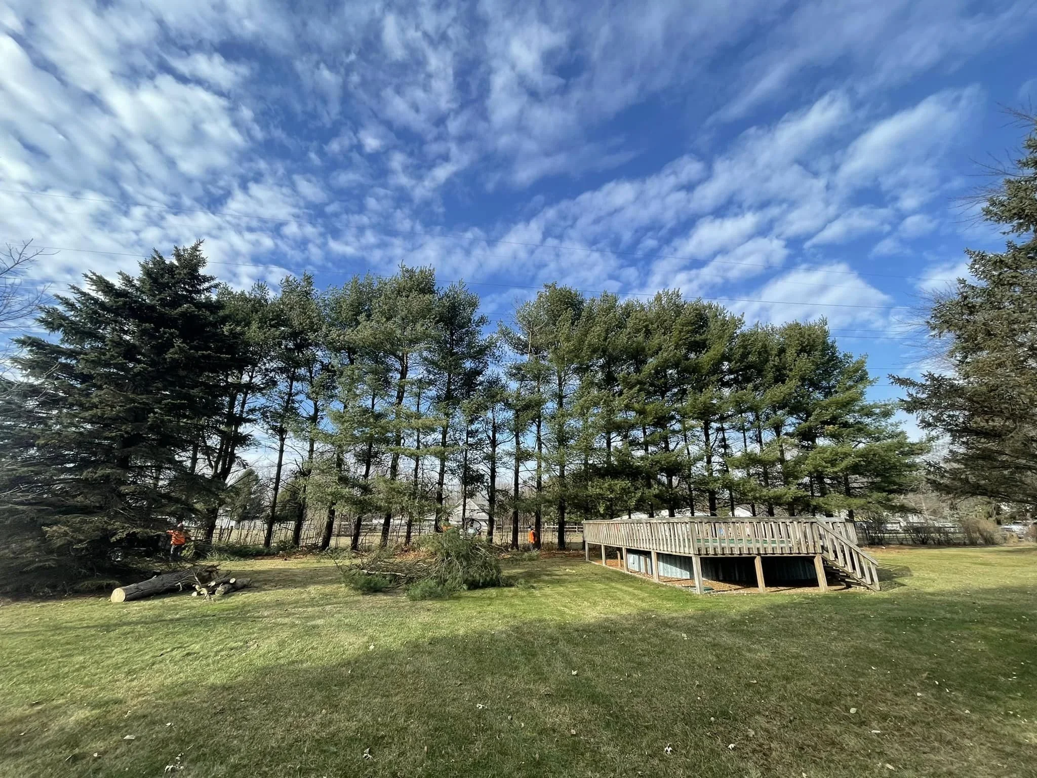 A backyard with green grass, tall trees, a wooden deck, and a clear blue sky with scattered clouds. Beautifully property maintained by Traditions Tree Care. 