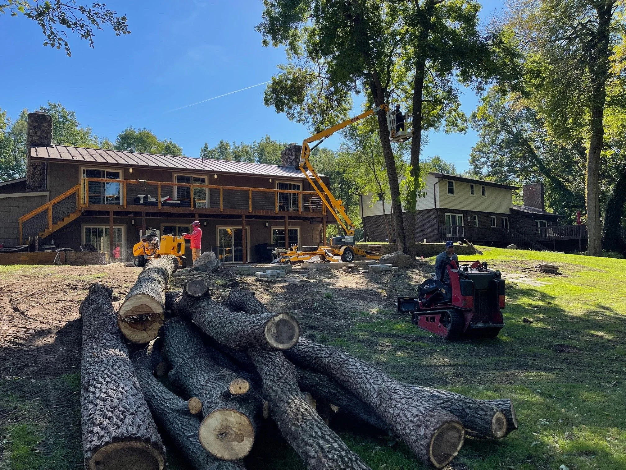 Tree Removal in Granger, Indiana