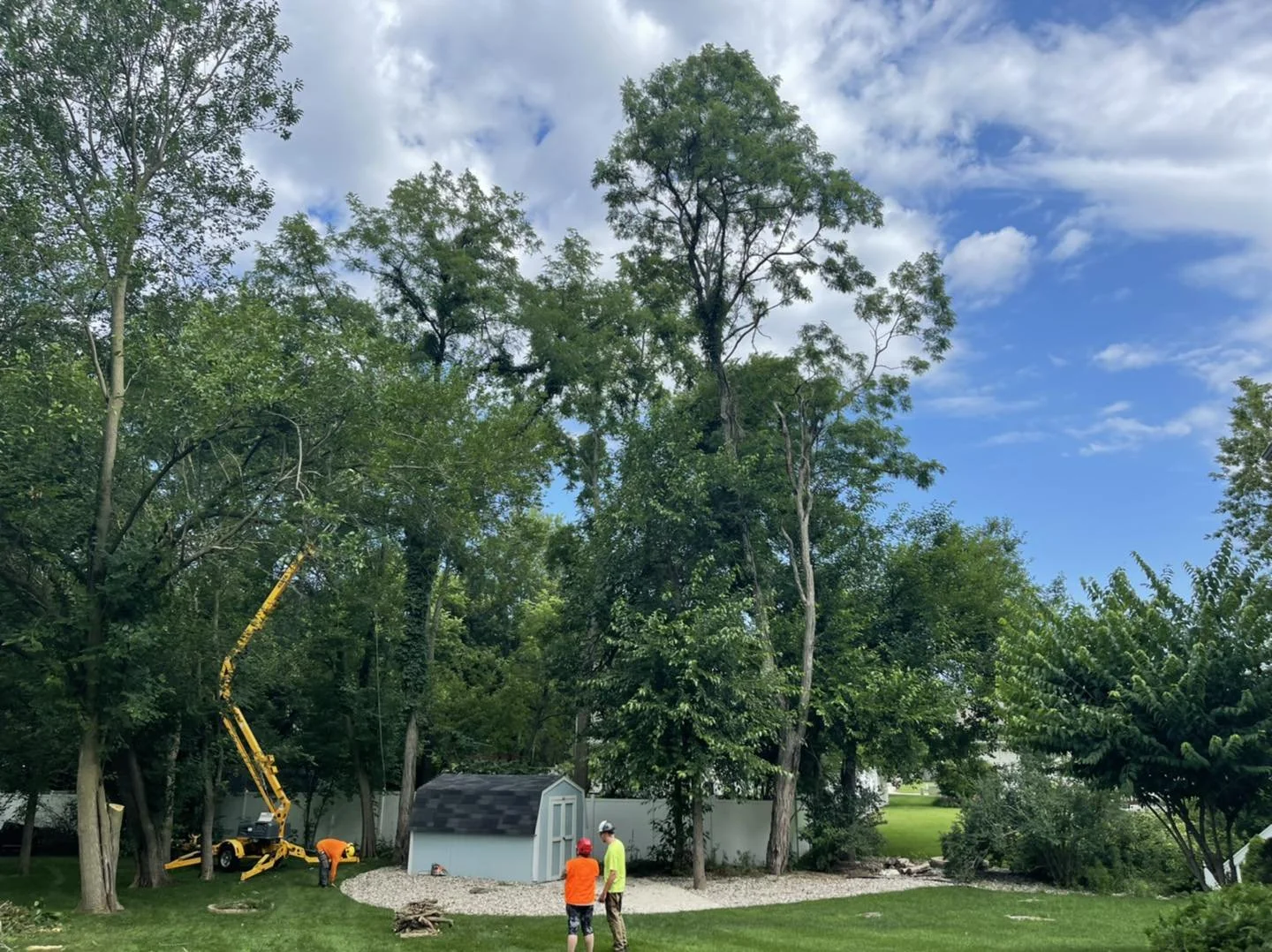 Pruning trees in Michiana
