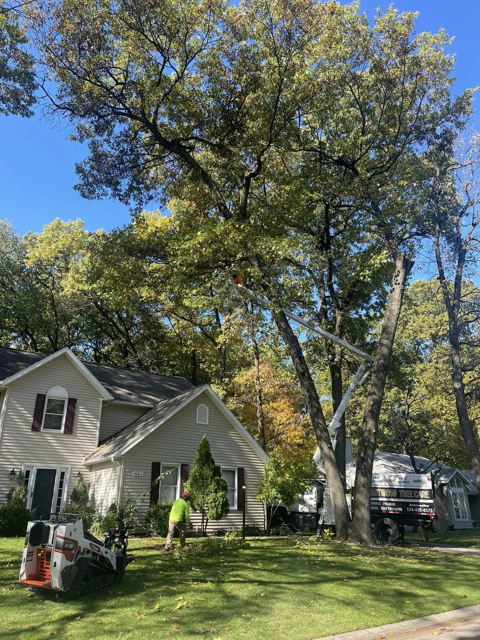 A house with beige siding and purple shutters is being trimmed by Traditions tree-care service. Professional Workers are using a lift and equipment to prune tall trees in the yard. The scene is sunny with limbs fallen with care to the grass.