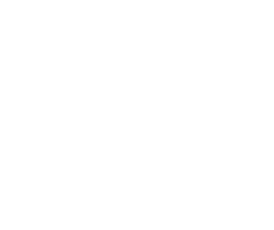 white hand drawn illustrative tree