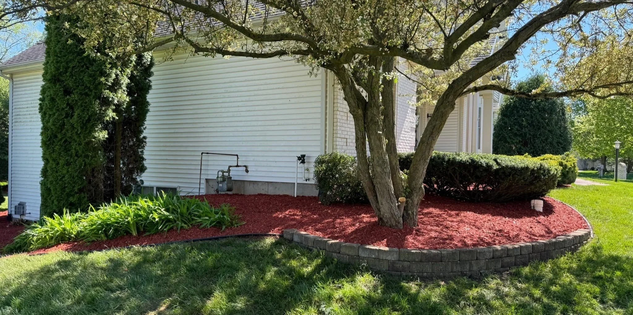 Beautiful Front yard of a house with a large tree, bushes, flowers, and a garden bed with red mulch. Another fine job by Traditions