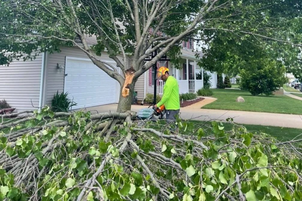 Traditions Tree trimmer in a neon yellow shirt and safety helmet cutting fallen branches in a residential neighborhood.