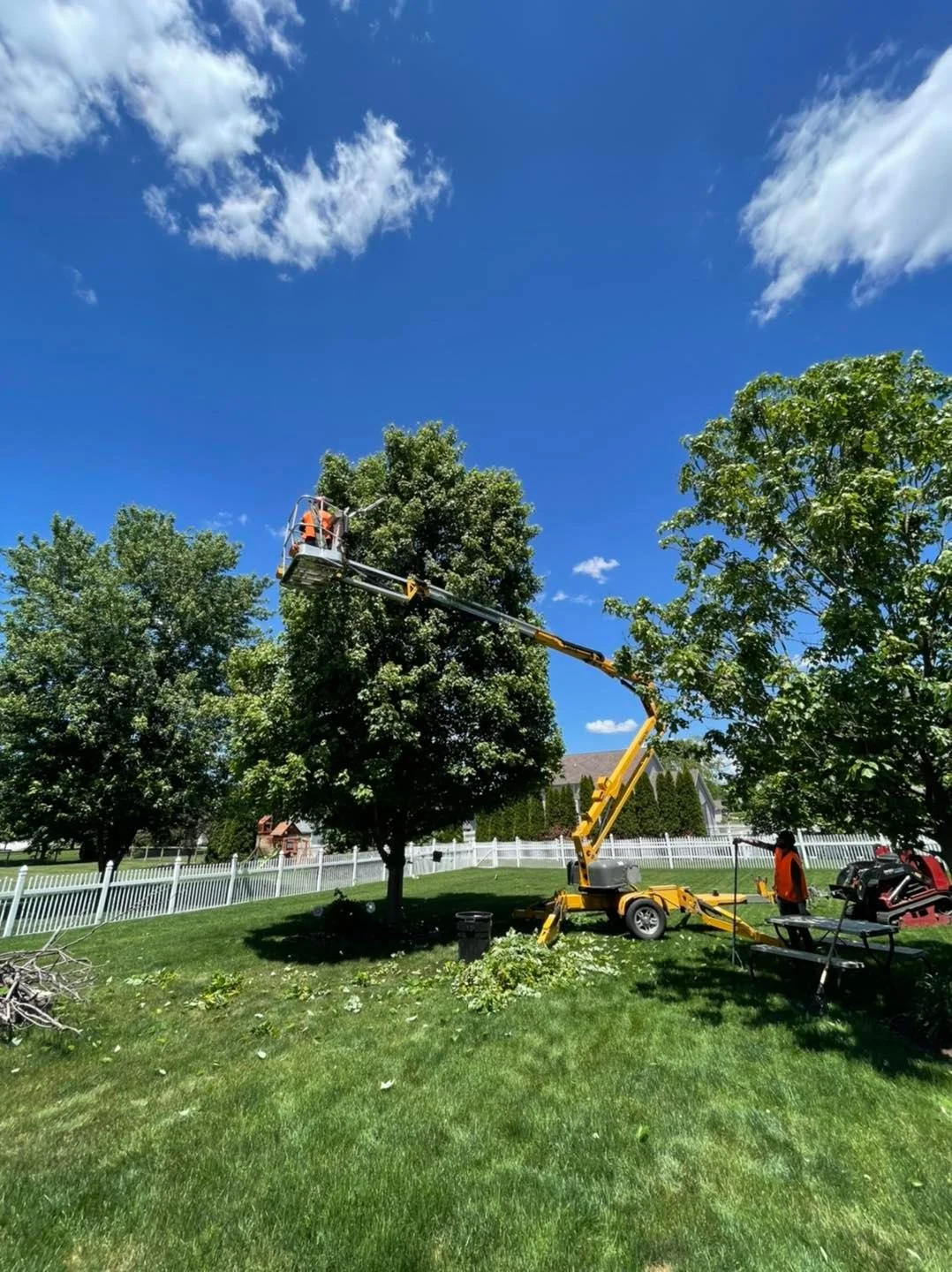 A person in an orange vest operating a cherry picker to trim a tall tree in a residential yard on a sunny day with a blue sky and some clouds, surrounded by a white fence.