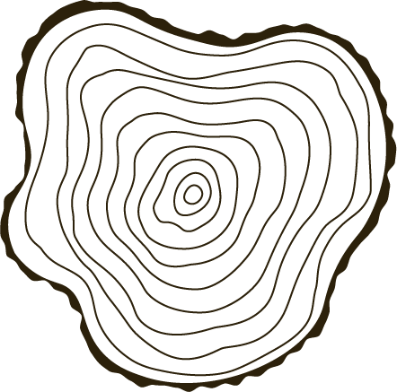Artistic graphic of the center cut of the tree trunk  with concentric contour lines representing rings of changes.