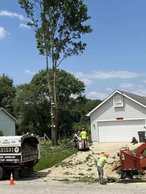 Crew removing a tall tree beside a house, with a chipper and loader working in the driveway