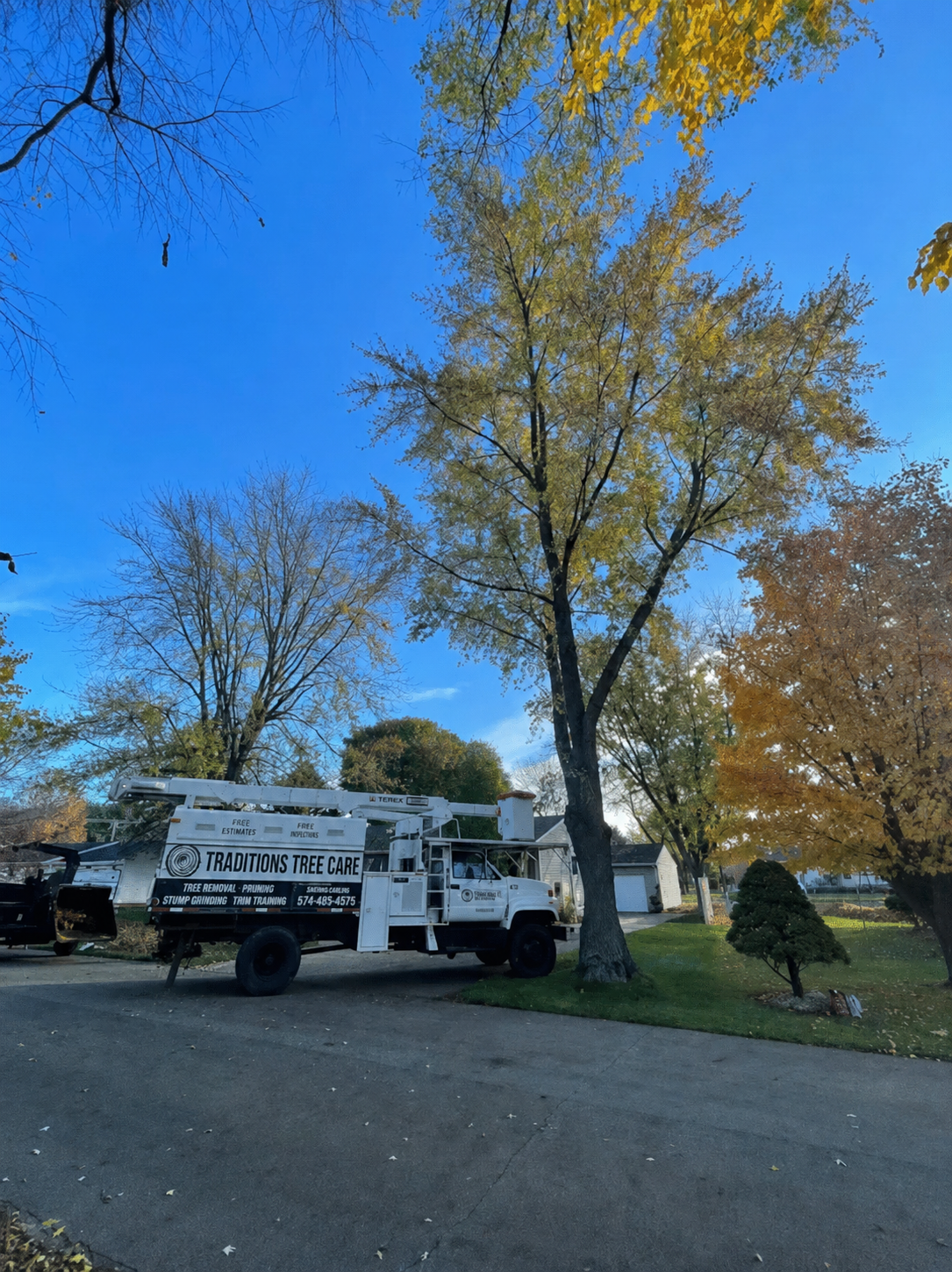 Traditions Tree Care crew performing fall cleanup