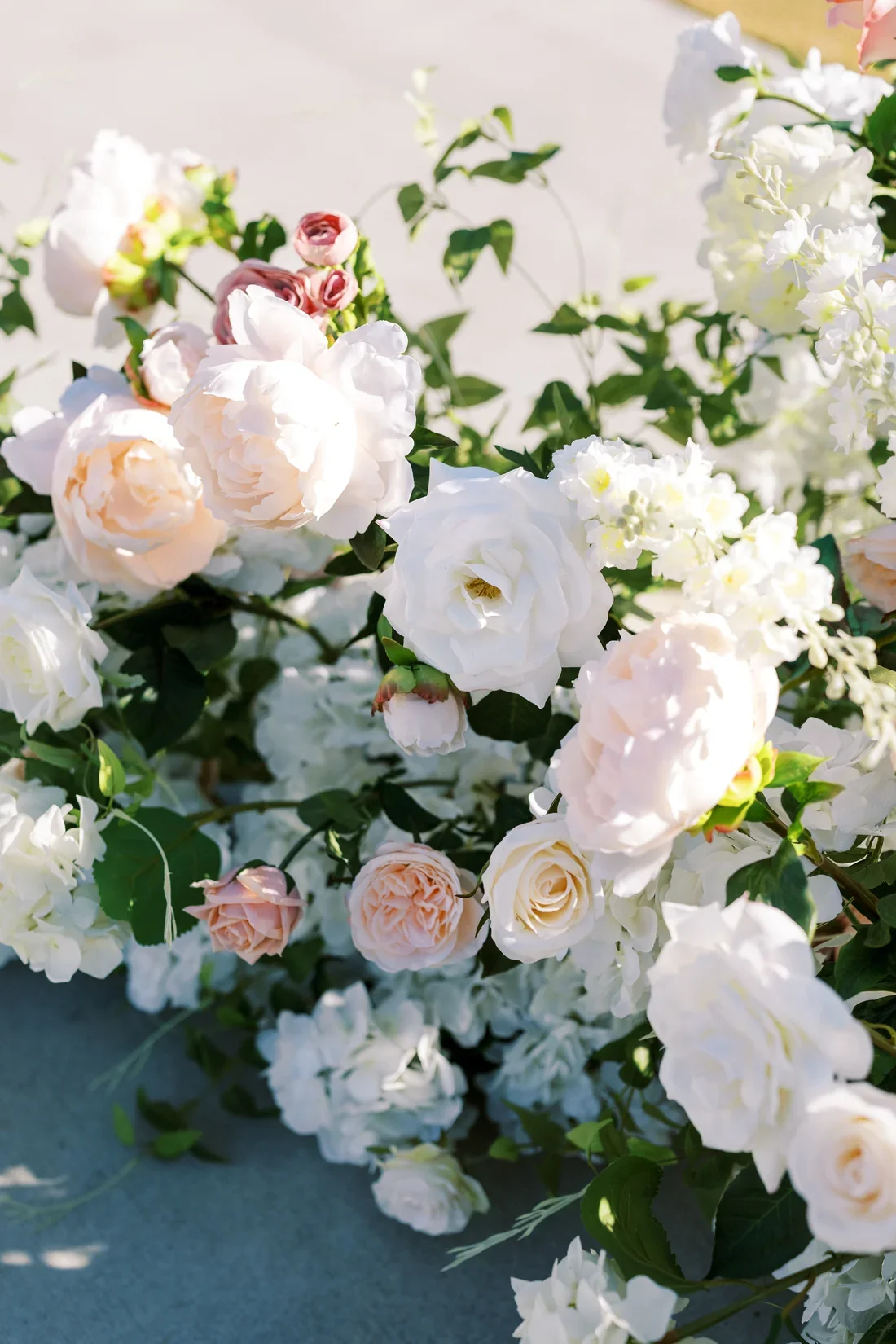 CPP-InBloom-150.webp