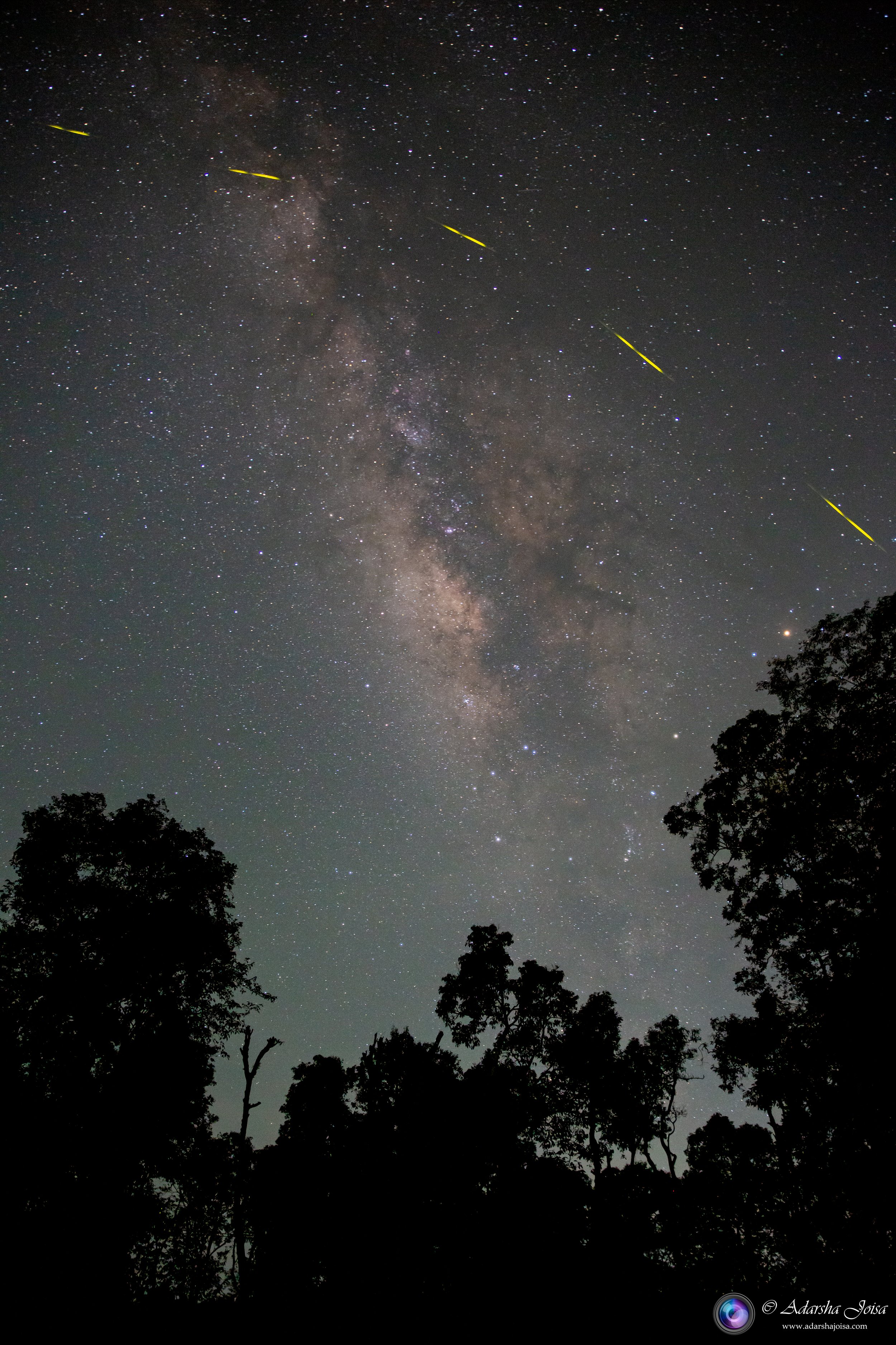 Milky way and fireflies
