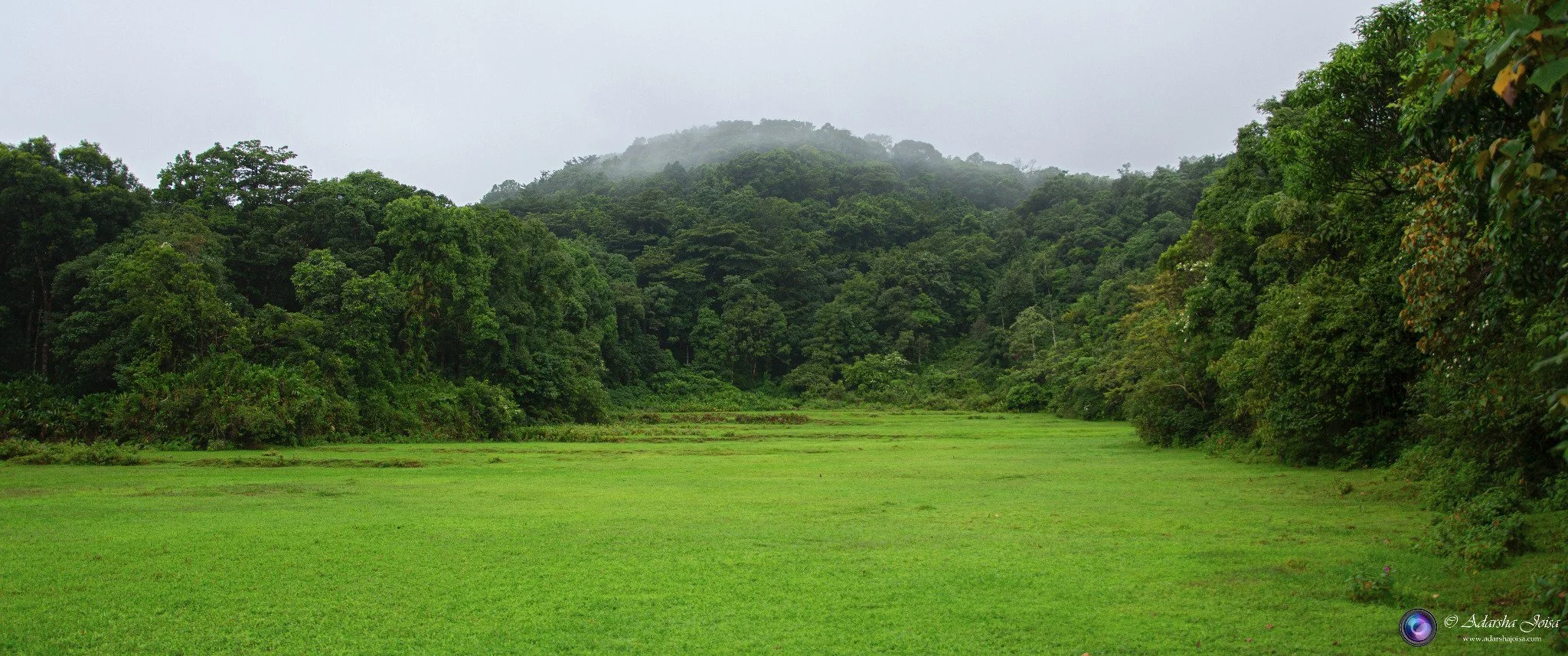 Greenery of the Western Ghats during the monsoons