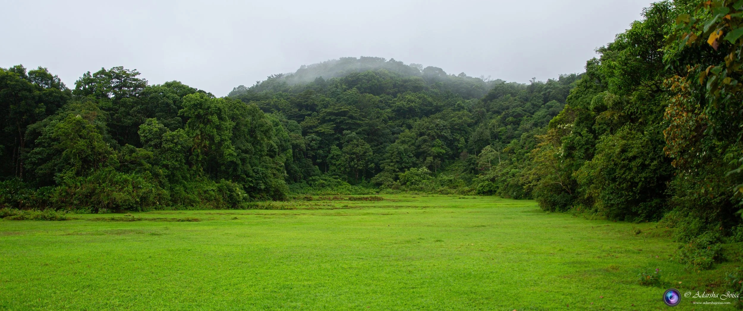 Greenery of the Western Ghats during the monsoons