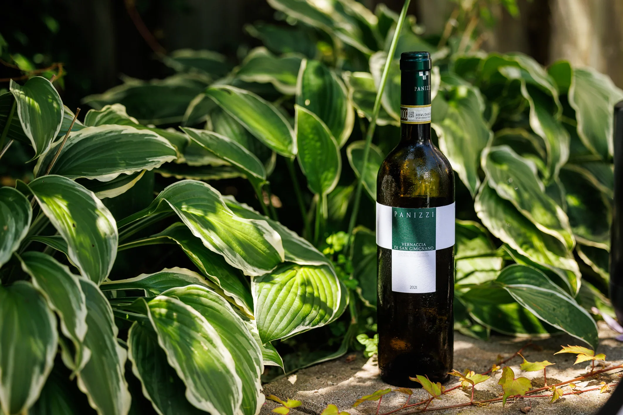WLA_SUMMER_BOTTLES_JL24-16.webp