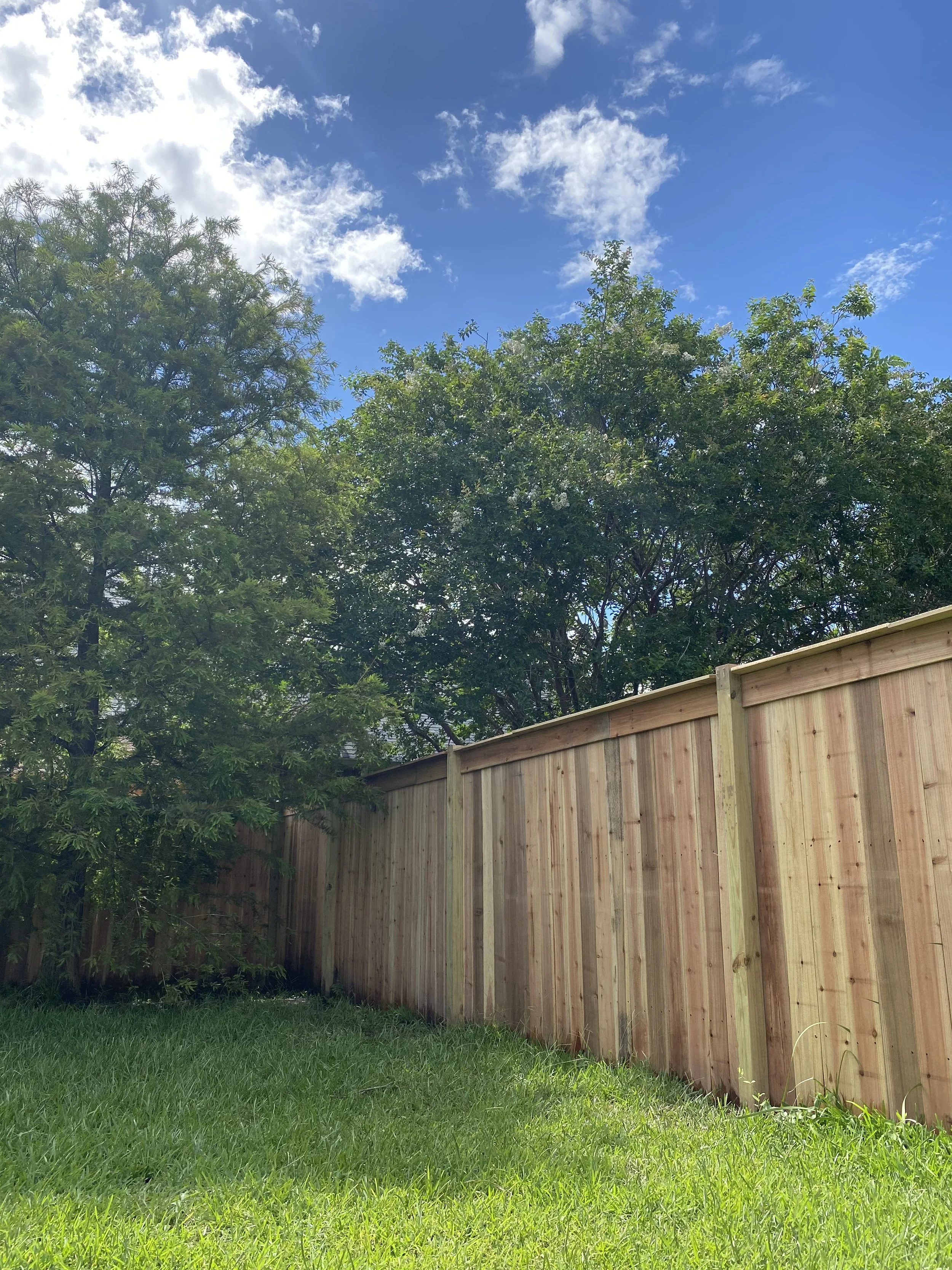 A backyard with a lush green grass lawn, wooden fence, and tall trees against a partly cloudy blue sky.