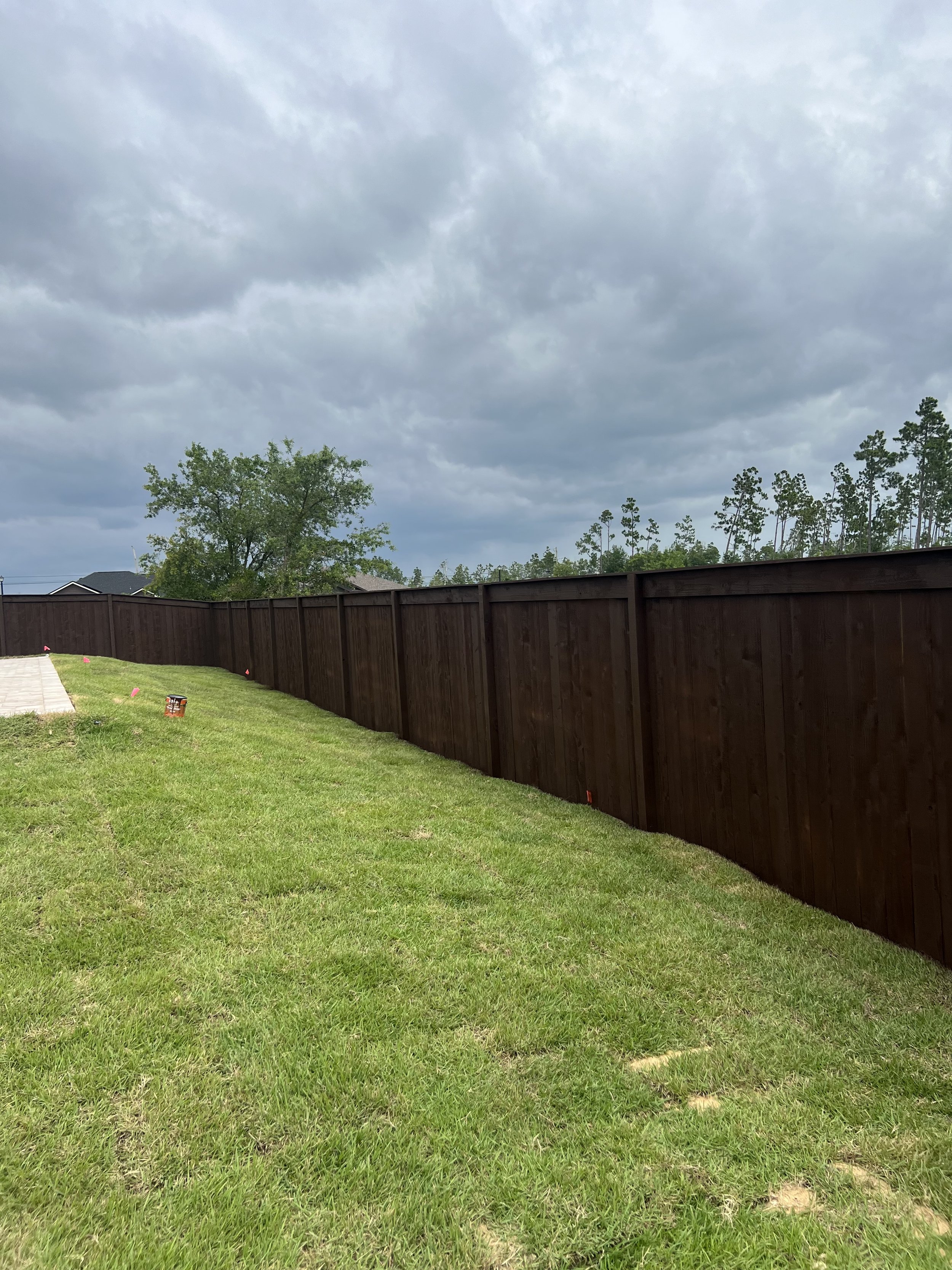 A backyard scene with a black wooden fence with white concrete posts, green grass, two tall palm trees, and various green trees and shrubs in the background under a clear blue sky.