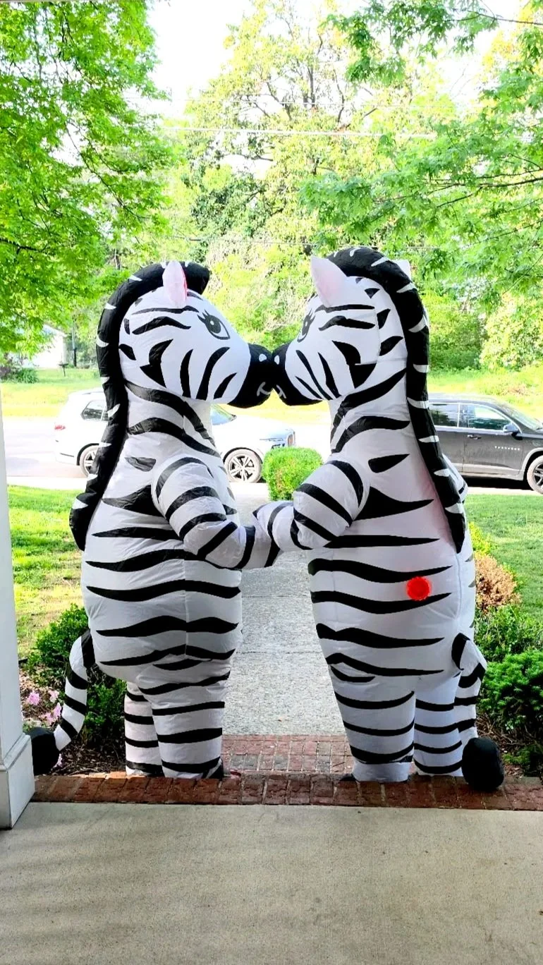 Two people dressed in zebra costumes holding hands outside on a sidewalk with trees and parked cars in the background.