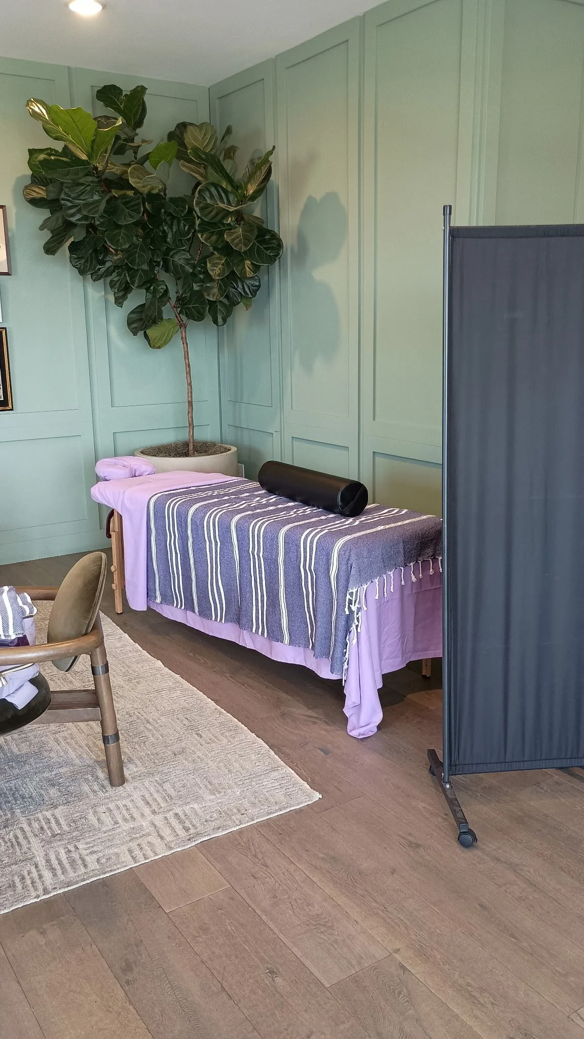 Room with light green paneled walls, a tall potted plant with broad green leaves, a massage or treatment bed covered with purple and gray striped cloth, a black cylindrical object on the bed, a beige chair, a small rug, and a black privacy screen on wheels.