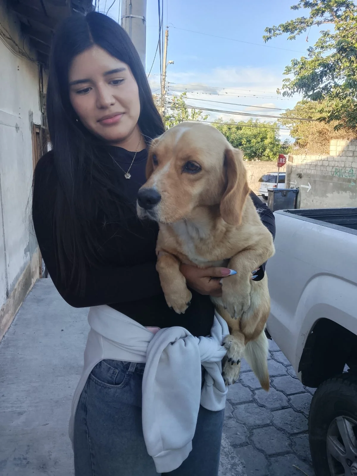 Supporting Those in Need: Dalila’s Spay Story