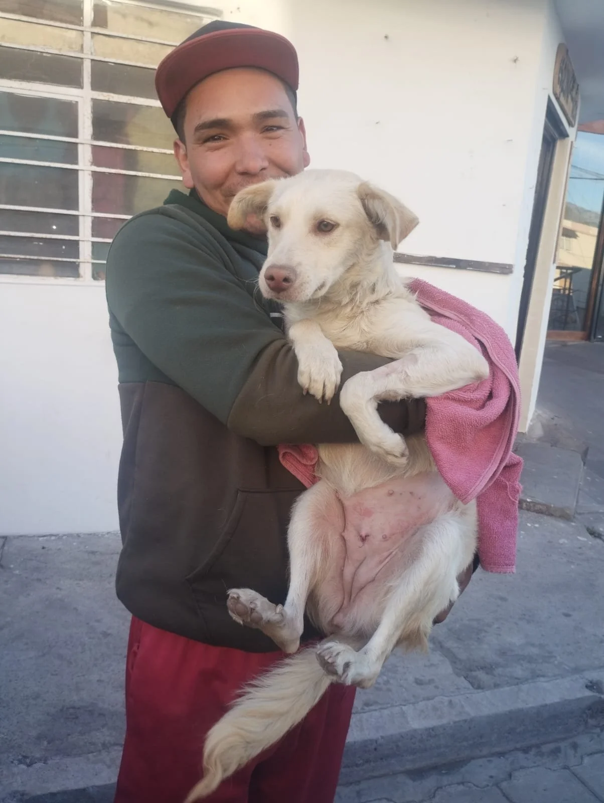 Love and Responsible Pet Ownership That Inspires Us