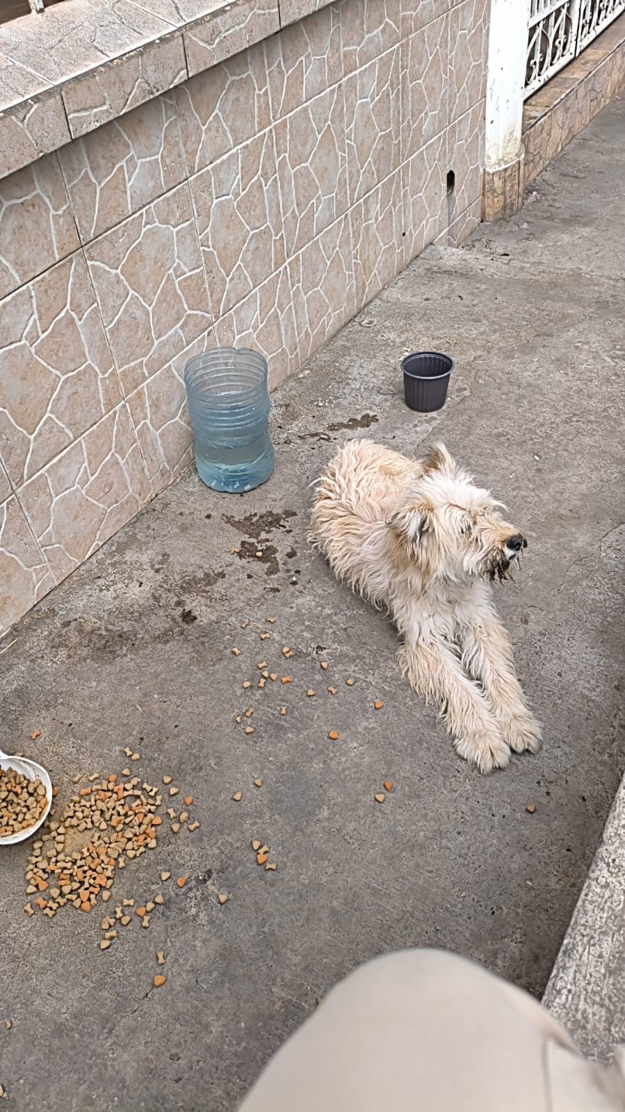 From Surviving the Streets to a Warm New Home