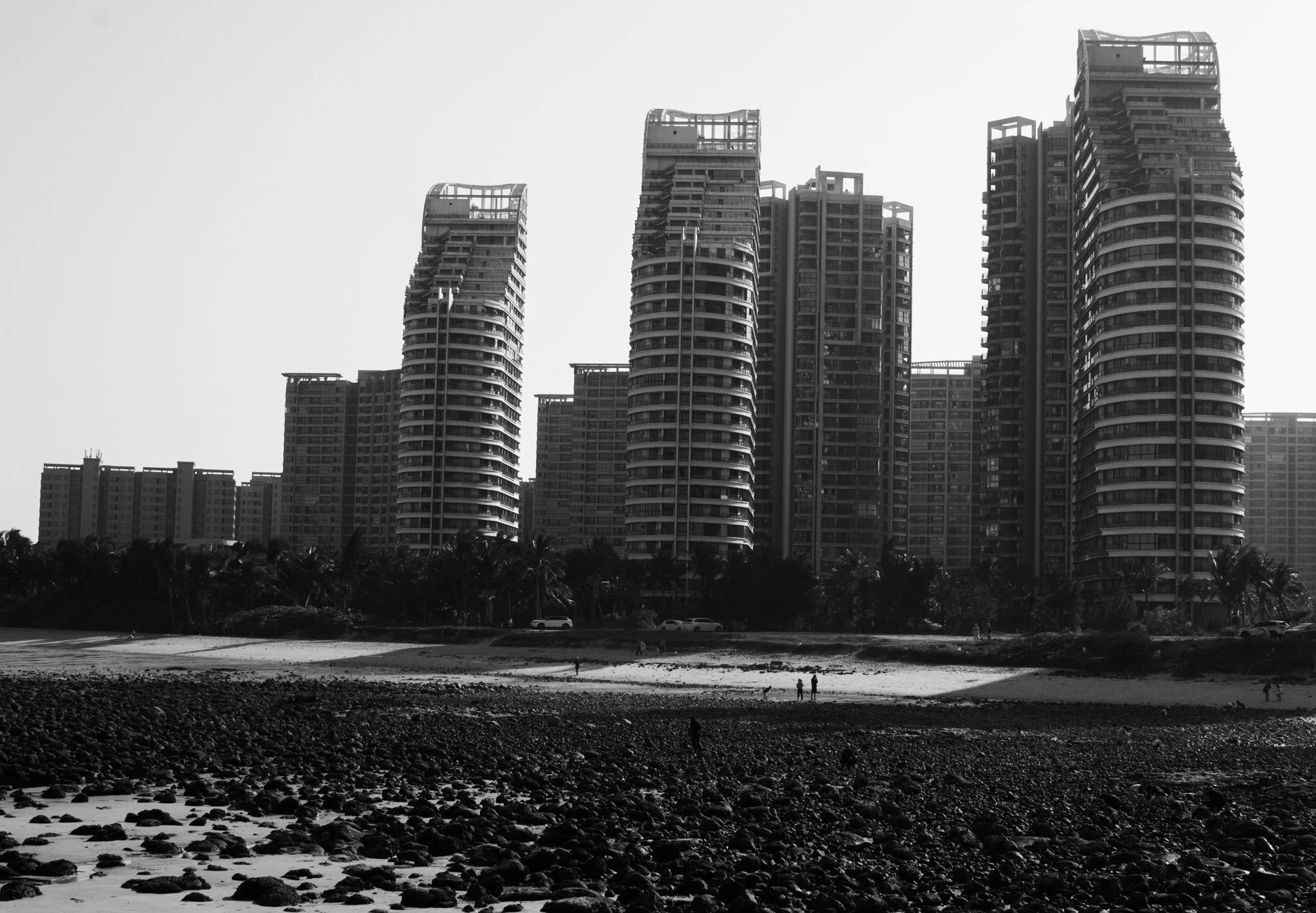 DSC_0263.jpg